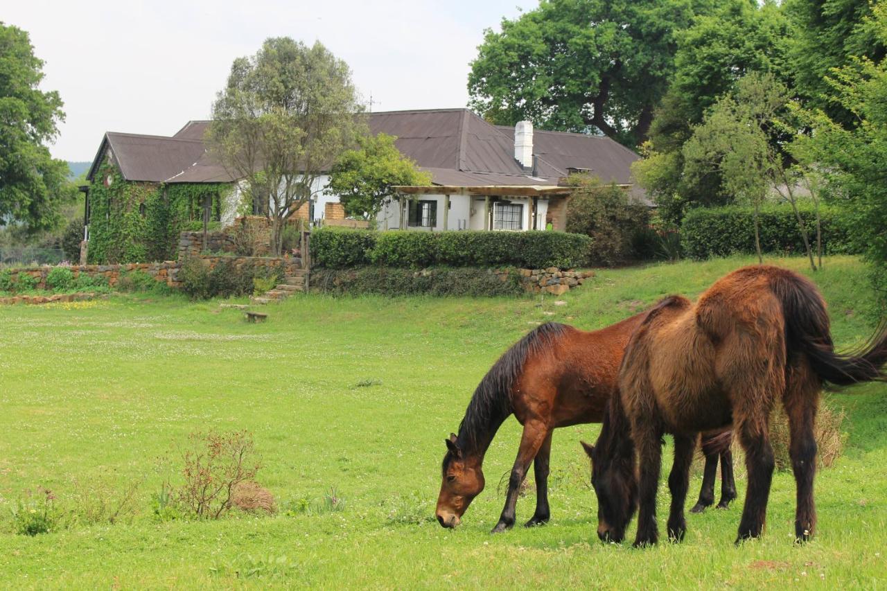 Newstead Farm - Country Cottages Curryʼs Post エクステリア 写真