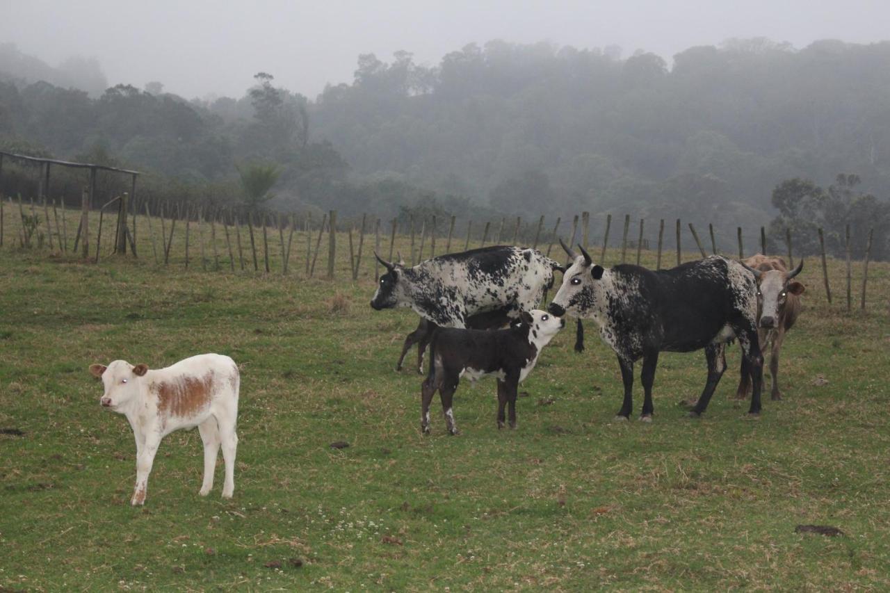 Newstead Farm - Country Cottages Curryʼs Post エクステリア 写真