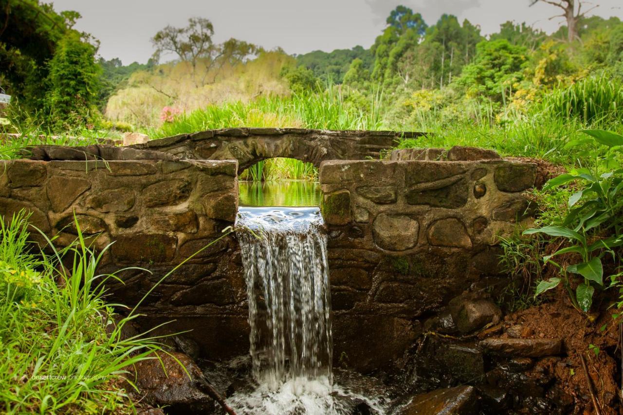 Newstead Farm - Country Cottages Curryʼs Post エクステリア 写真