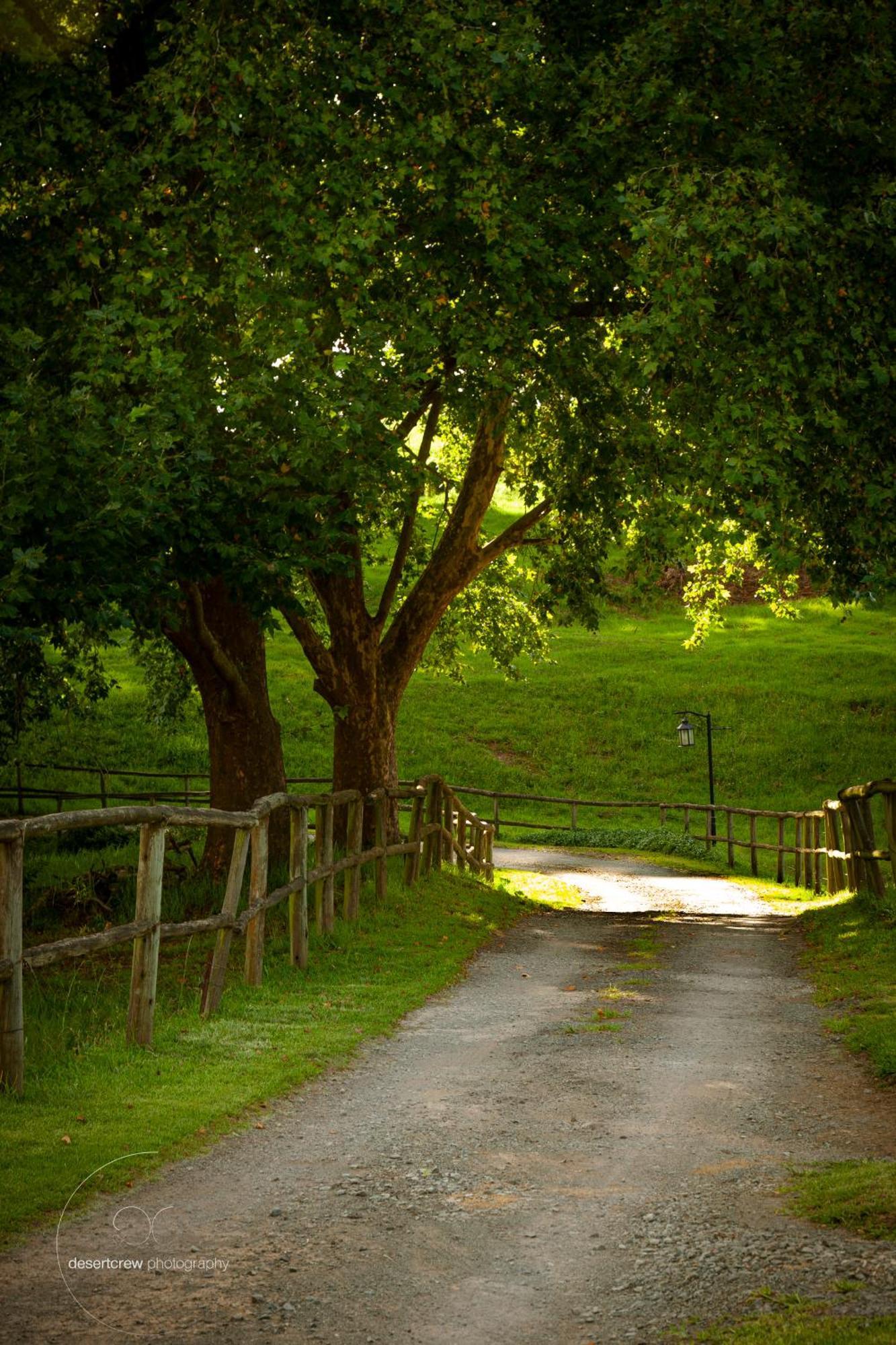 Newstead Farm - Country Cottages Curryʼs Post エクステリア 写真