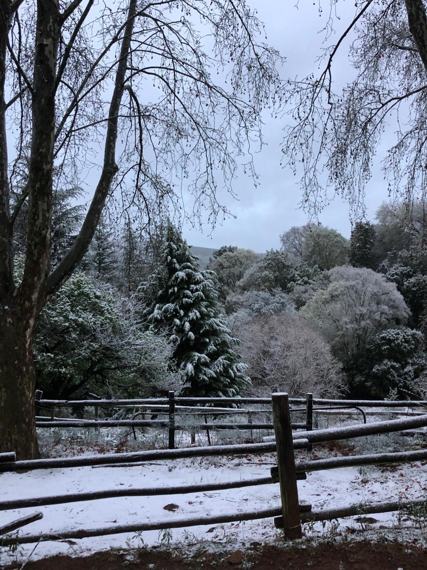 Newstead Farm - Country Cottages Curryʼs Post エクステリア 写真