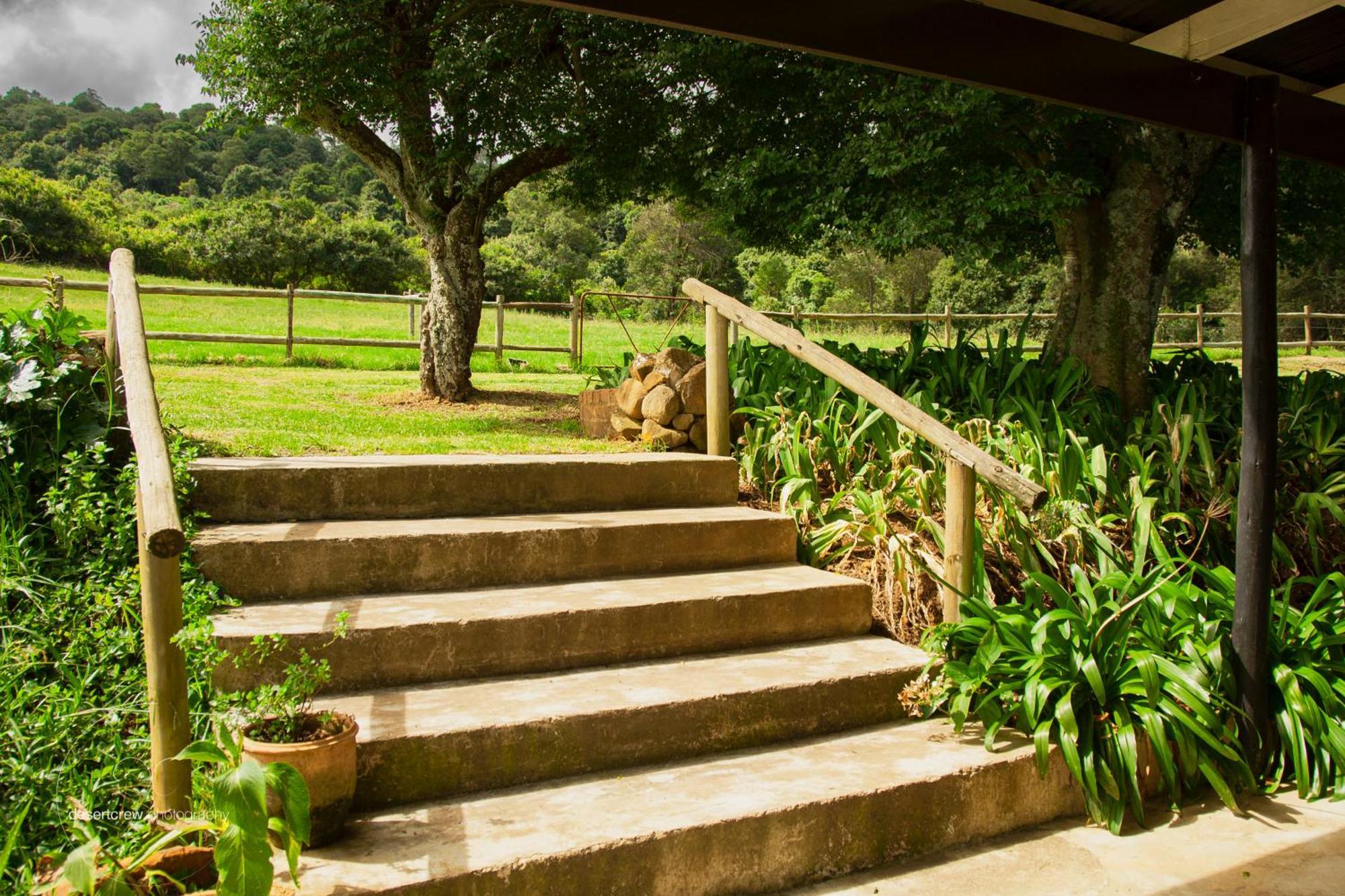 Newstead Farm - Country Cottages Curryʼs Post エクステリア 写真