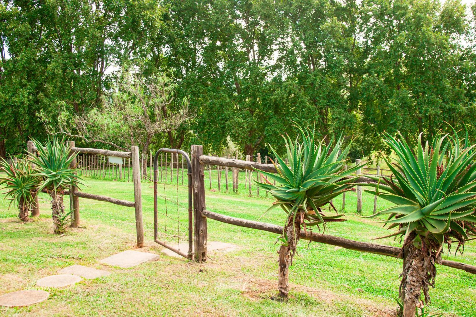 Newstead Farm - Country Cottages Curryʼs Post エクステリア 写真