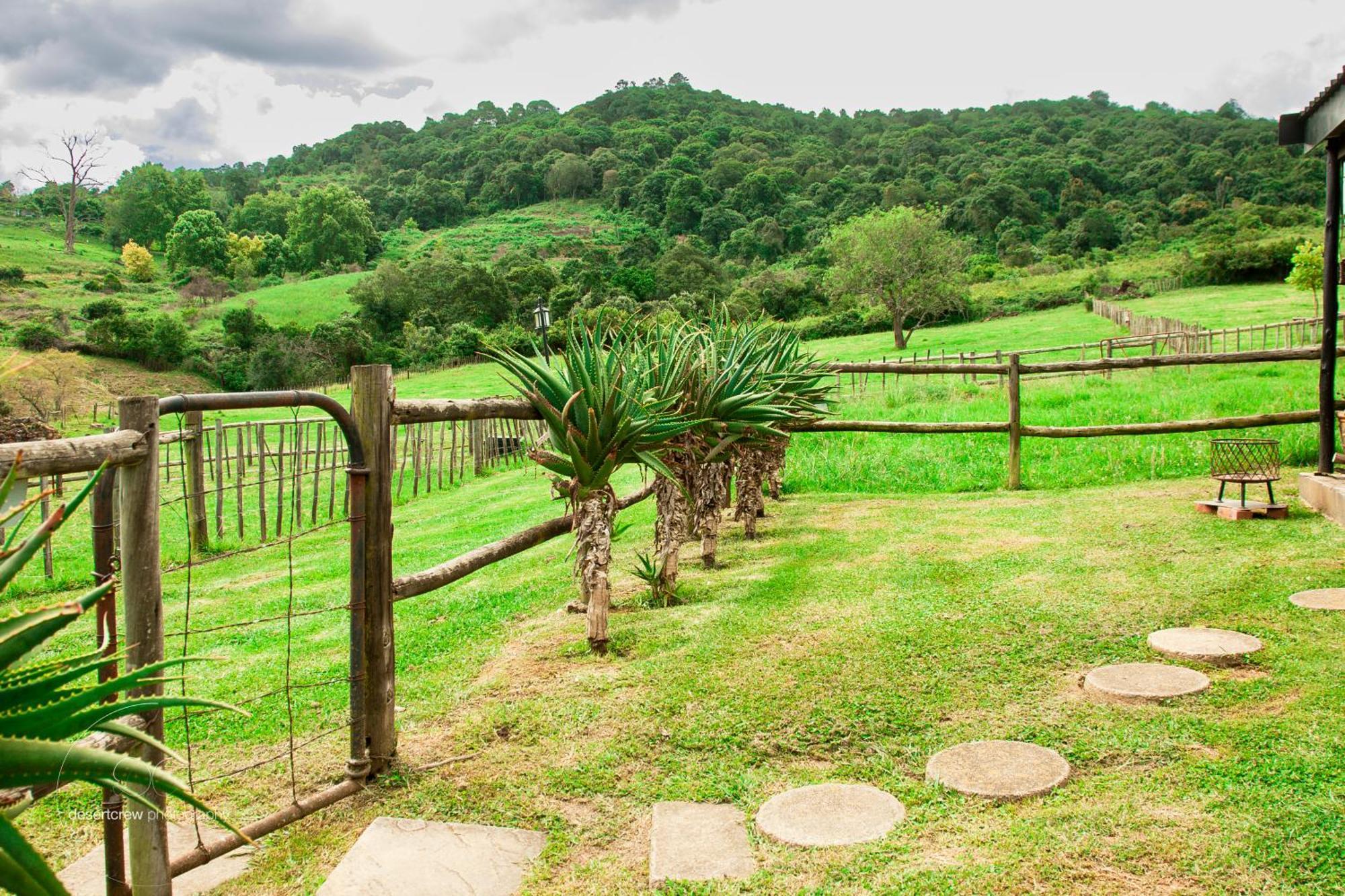 Newstead Farm - Country Cottages Curryʼs Post エクステリア 写真