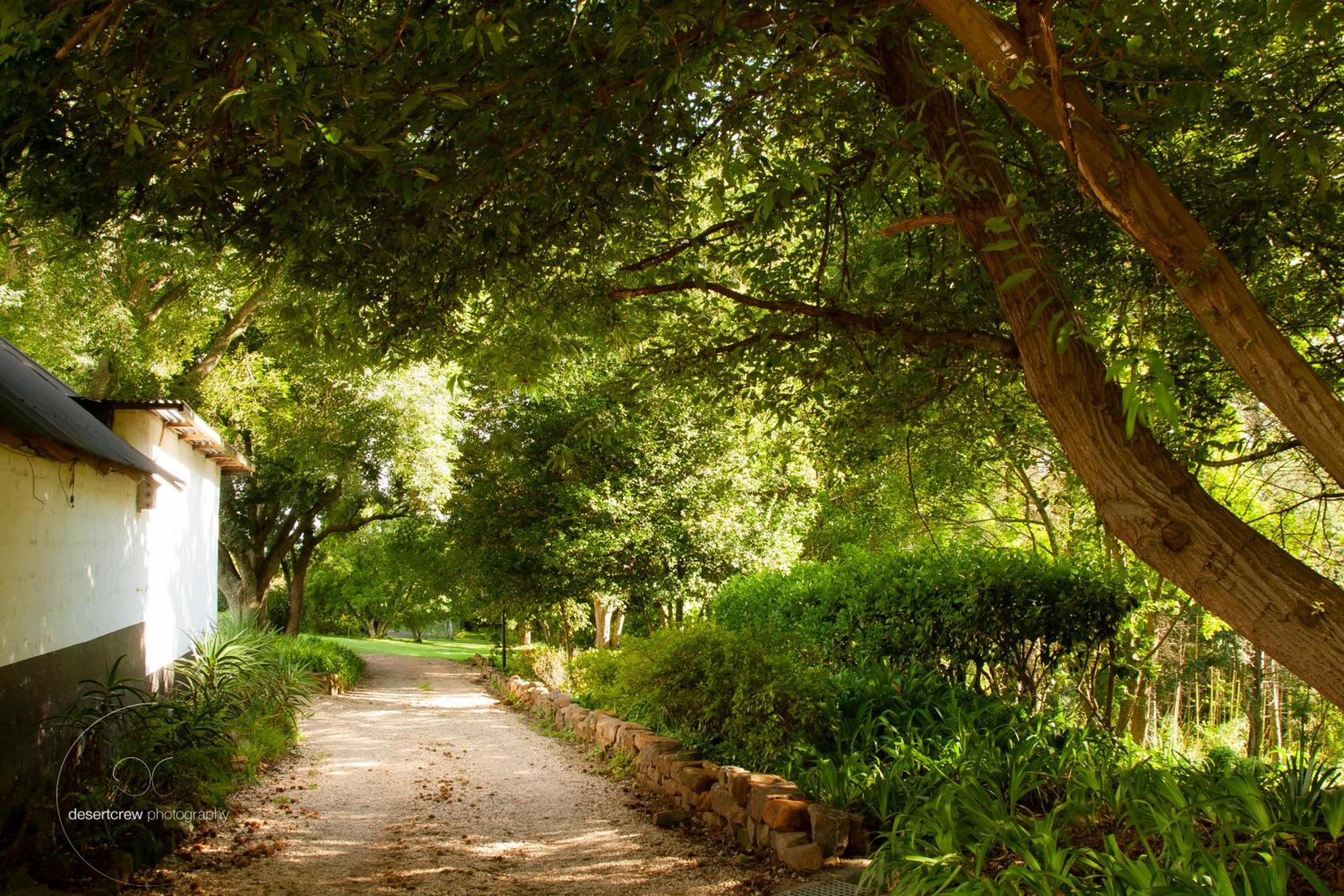 Newstead Farm - Country Cottages Curryʼs Post エクステリア 写真