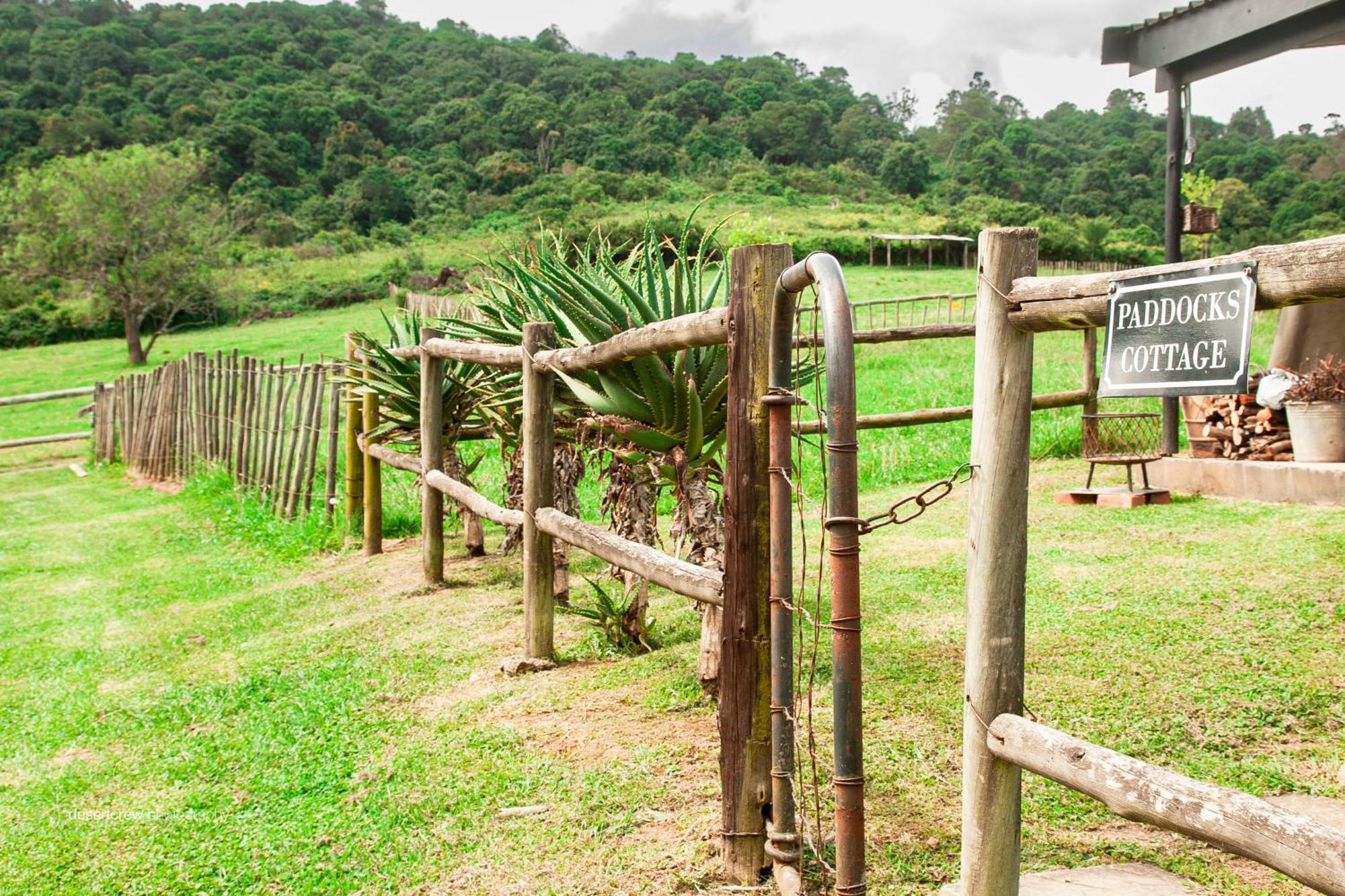 Newstead Farm - Country Cottages Curryʼs Post エクステリア 写真