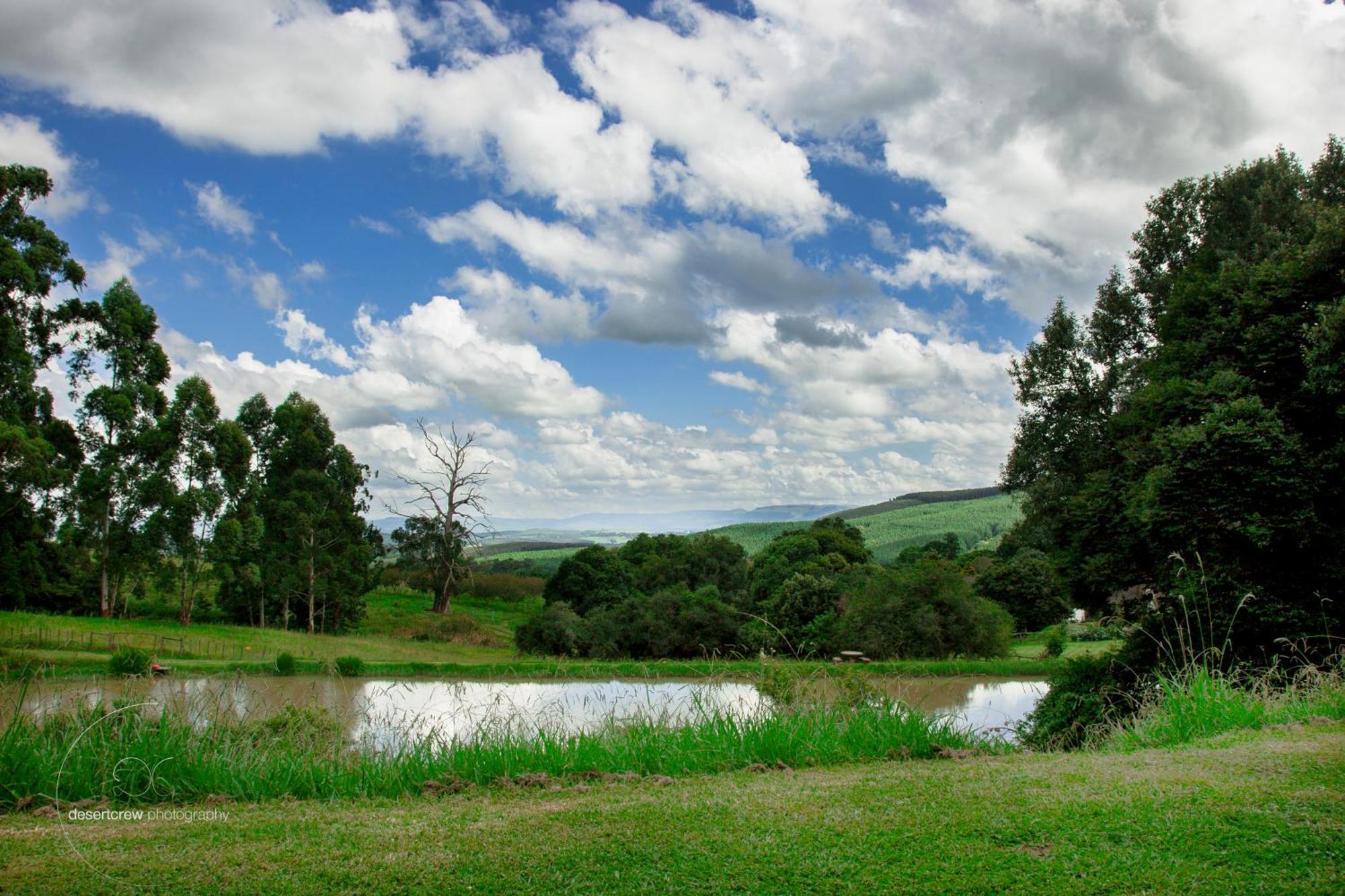 Newstead Farm - Country Cottages Curryʼs Post エクステリア 写真